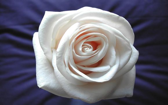 重庆乘游轮到宜昌价格
