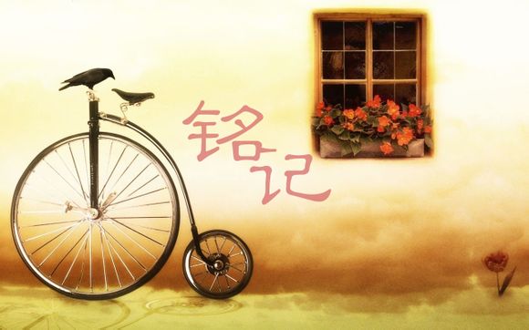 美国you only live once