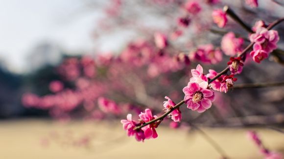 u盘无法完成格式化是怎么回事