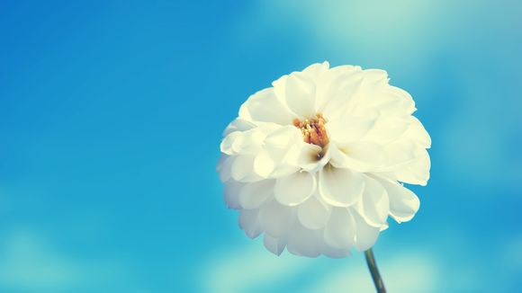 紫金县有什么温泉好介绍