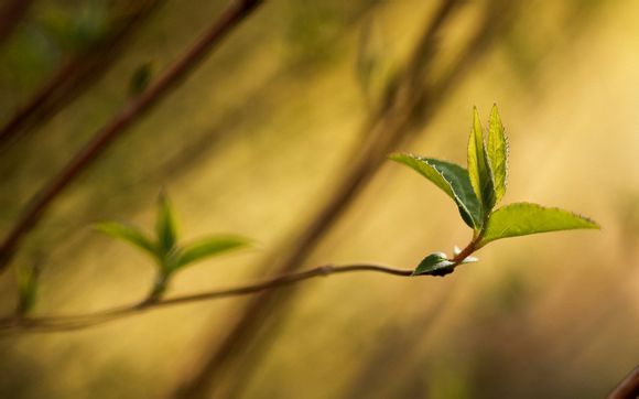 桂林漓江哪个季节去最好
